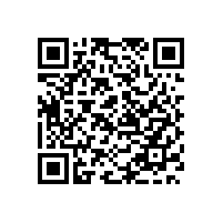 劳务派遣公司允许从事保安服务吗 ?