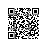 南海罗村保安公司的业务范围