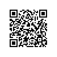 企业保安的领导者在做决策时应该做到“四要四不能”