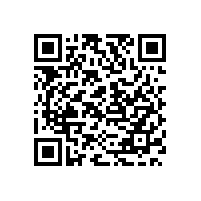 申请《保安服务许可证》的条件有哪些?