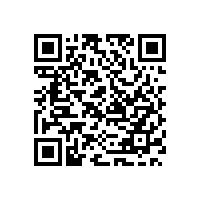 沙田保安公司开创保安新局面