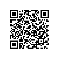 “玩偶保安”“玩”出敬业新高度