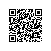 小学生日记之热心的著名安保公司保安叔叔
