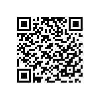 中国企业保安服务可借鉴美国的安保服务经验