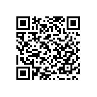 珠海横琴新区保安公司负责整顿的主要工作