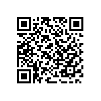 珠海金湾区三灶镇保安公司需形成正规体系