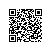 樟木头保安公司_内控机制如何强化