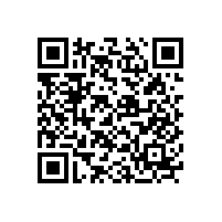 以智為保  以慧為安--廣東威遠舉行大練兵管理層驗收，中層骨干晉級儀式，公司級培訓和團康活動