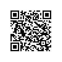 安徽捷越FAG 600541發(fā)貨實(shí)錄