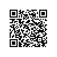 羅茨風(fēng)機(jī)需要使用什么樣的軸承