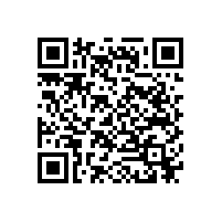 舍弗勒技術(shù)團(tuán)隊(duì)在銅陵有色進(jìn)行技術(shù)交流活動(dòng)