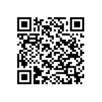 舍弗勒推出X-life系列的最新INA滾輪軸承