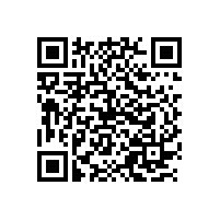 塑料袋 新能源汽車扶持政策今年起退坡 財(cái)政補(bǔ)貼政策將調(diào)整