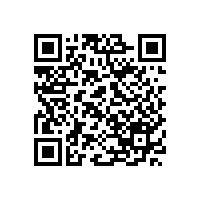 海外項(xiàng)目業(yè)績領(lǐng)先！紅獅集團(tuán)上榜民營跨國公司“領(lǐng)航企業(yè)”名單