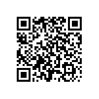 電動(dòng)掃地車(chē)滾刷可能出現的那些問(wèn)題