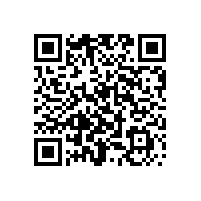 工廠(chǎng)道路樹(shù)葉清掃車(chē)-潔博士環(huán)保設備