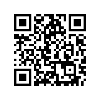 功能掃地車(chē)