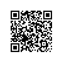 機場(chǎng)用迷你掃路車(chē)