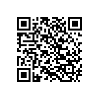 駕駛掃地車(chē)整容式清掃