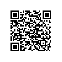 電動(dòng)清掃車(chē)案例-青海格爾木發(fā)電廠(chǎng)