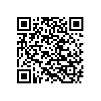 掃地機能不能清掃落葉