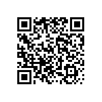 吸塵掃地車(chē)哪家好