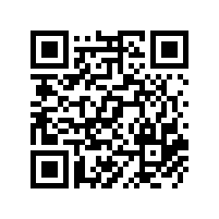 我國工程機械企業在阿聯酋發展情況分析
