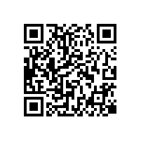 羅茨鼓風(fēng)機皮帶輪對風(fēng)機有什么影響
