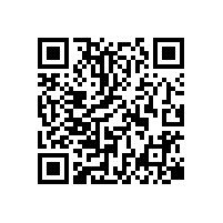 魯式紡織印染吸毛用羅茨真空泵