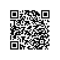 龍鐵羅茨真空泵