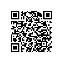 三葉羅茨風(fēng)機(jī)結(jié)構(gòu)特征及零配件組成