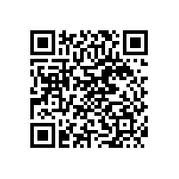 煙臺(tái)油氣潤(rùn)滑廠家能否為客戶提供遠(yuǎn)程控制系統(tǒng)？