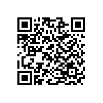 BlokSeT是一種符合國際和國內(nèi)標準的高質量低壓開關柜