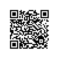 輪緣油氣潤滑所帶來的積極效果已經(jīng)被普遍認(rèn)可