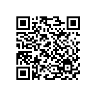 本地模式如何調試？