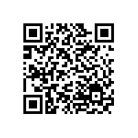 高速電機能否使用油氣潤滑？