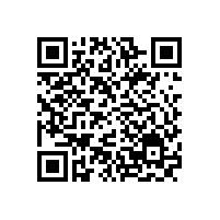 集成式分配器在油氣潤滑系統(tǒng)中的應(yīng)用