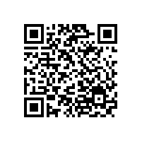 哪個油氣潤滑廠家可以提供定制服務(wù)？