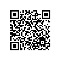 哪里可以提供特殊定制油氣潤滑裝置？