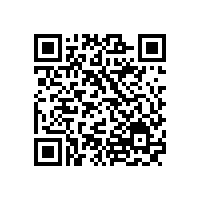 哪里可以找到特別定制的油氣潤滑設備？