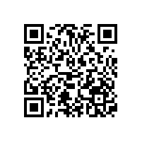 為什么輥道可以使用油氣潤滑系統(tǒng)？