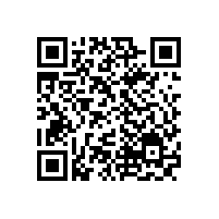 為什么說油氣潤滑更適合扇形段軸承的潤滑？