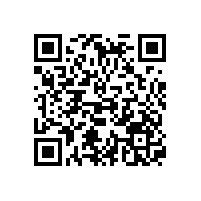 油氣潤(rùn)滑系統(tǒng)具有哪些自我監(jiān)控的功能？