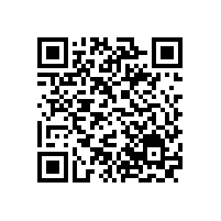 油氣潤(rùn)滑系統(tǒng)中的泵是怎樣工作的？