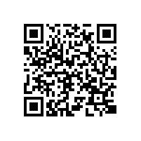 煙臺(tái)油氣潤(rùn)滑廠家能否為客戶提供遠(yuǎn)程控制系統(tǒng)？