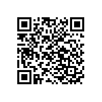 2020年國內(nèi)動力鋰電池定制公司排名