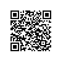 2020年國(guó)內(nèi)鋰離子電池廠家企業(yè)排名