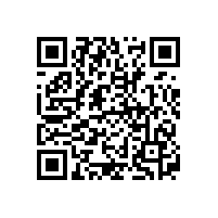 2020年國內(nèi)三元鋰電池品牌廠家排名