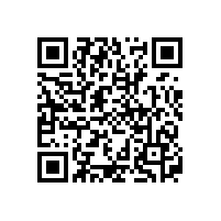 2020年名牌鋰電池企業(yè)排名