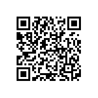 2021年國內(nèi)三元鋰電池品牌廠家排名